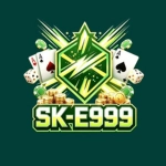 SK-E999 Game